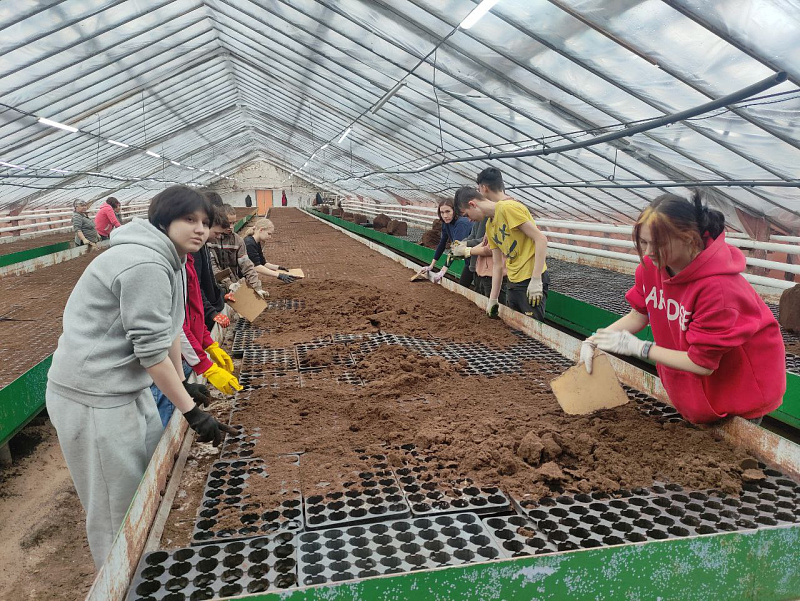 Students of correctional school No. 68 have started working at the Gorzelenkhoz enterprise