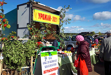 Сельскохозяйственные ярмарки стартовали в Набережных Челнах