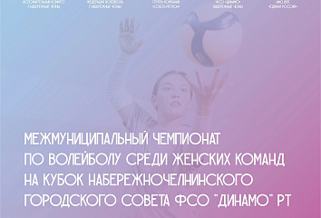 В Челнах продолжаются межмуниципальные чемпионаты по волейболу