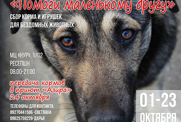 Челнинцы могут принять участие в ежегодной благотворительной акции «Помоги маленькому другу»