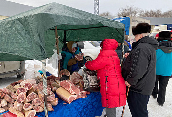 В Челнах пройдут тематические ярмарки «Новогодний гусь»