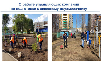 В Набережных Челнах высадят 6 200 деревьев и кустарников