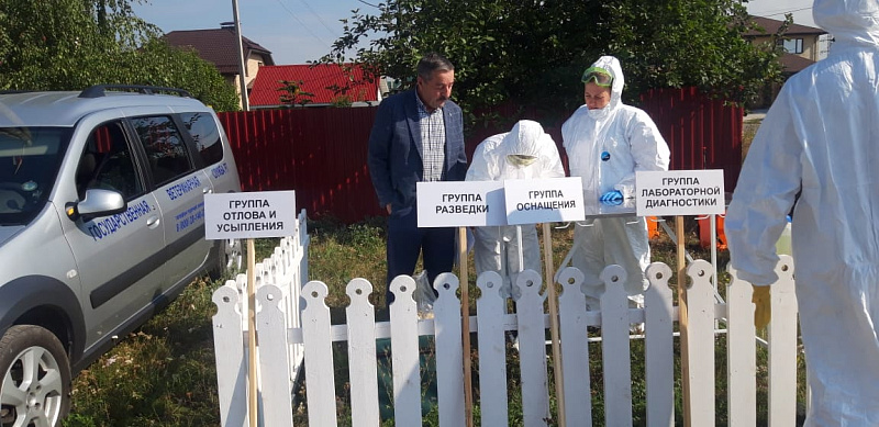 Птичий грипп: угрозы Набережным Челнам нет