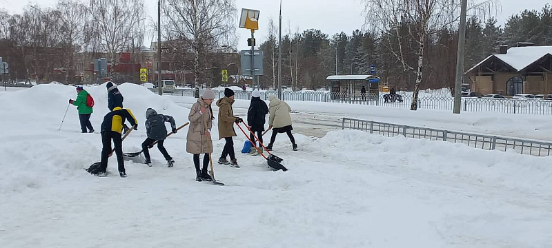 Челнинцы вышли на борьбу со снегом