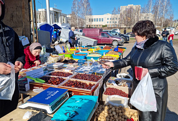 Сельскохозяйственные ярмарки прошли на трех площадках города