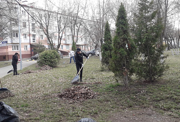 С начала двухмесячника в Челнах посадили более 4 тысяч деревьев