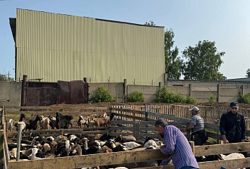 В Набережных Челнах празднуют Курбан-байрам