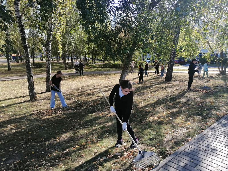 В рамках осеннего субботника высажено свыше 600 деревьев