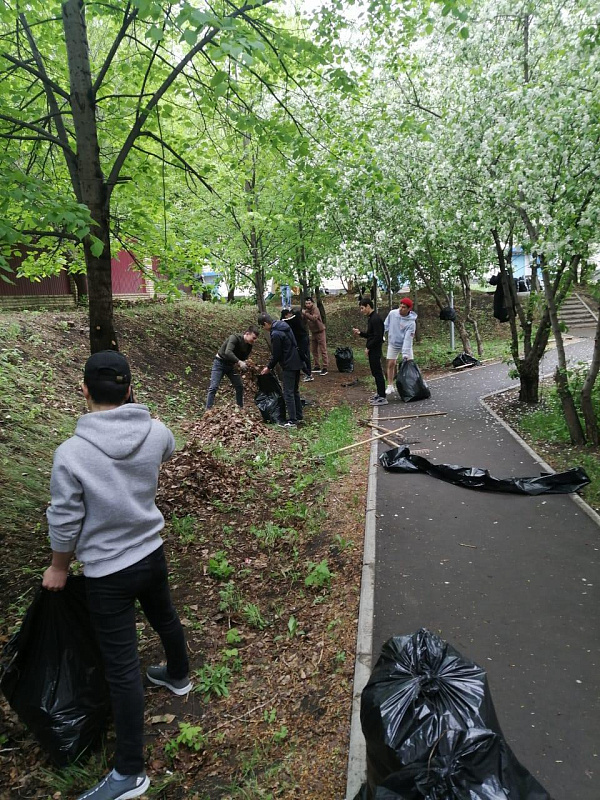 В Челнах посадили более 5 тысяч деревьев