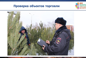 Халык җаваплылыгы зонасында урманнарны законсыз кисү