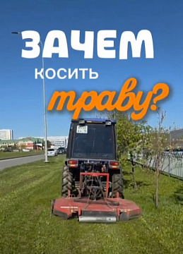 Why mow the grass?