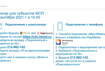 Чаллы халкы кече һәм урта эшмәкәрлек субъектлары өчен вебинарга кушыла ала