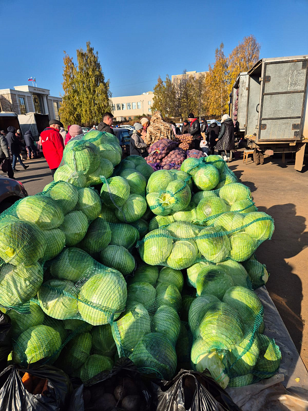 На челнинские сельскохозяйственные ярмарки завезли 1000 тонн продукции