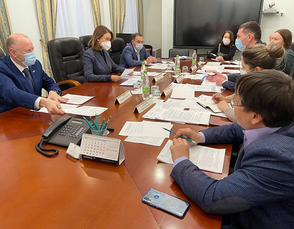 Әлфия Когогина Татарстанда дәүләт программаларын гамәлгә ашыру мәсьәләләре буенча эшче төркем утырышын үткәрде