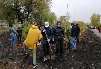 Лиственницы посадили вдоль одного из челнинских проспектов