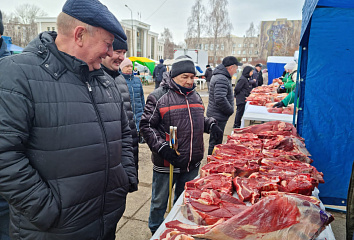 Чаллы авыл хуҗалыгы ярминкәләренә 176 тонна продукция китерелгән