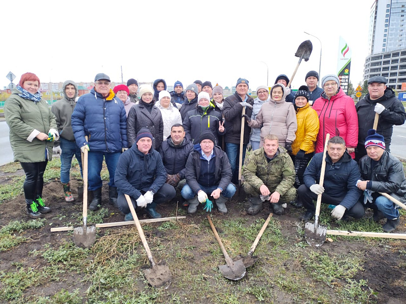 В Челнах растет количество деревьев